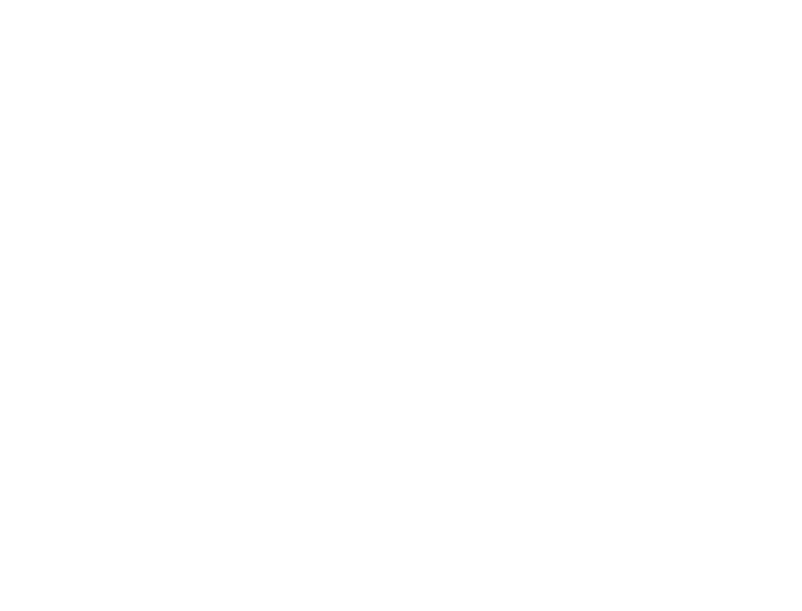 WebPoise Logo